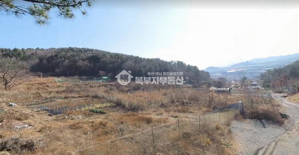 부산 기장군 장안읍 명례리 부산 기장군 장안읍 명례리 토지매매 당25만 매매 매물번호 11262 사진 1