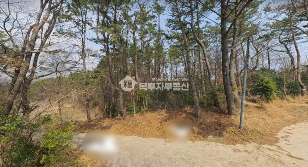 부산 기장군 일광면 원리 부산 기장군 일광 토지매매 당50만 매매 매물번호 10035 사진 1
