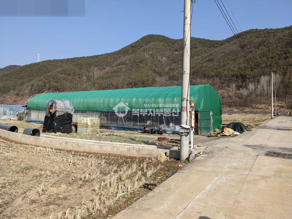 경남 밀양시 단장면 태룡리 경남 밀양시 단장면 태룡리 토지매매 당32만 매매 매물번호 11358 사진 5
