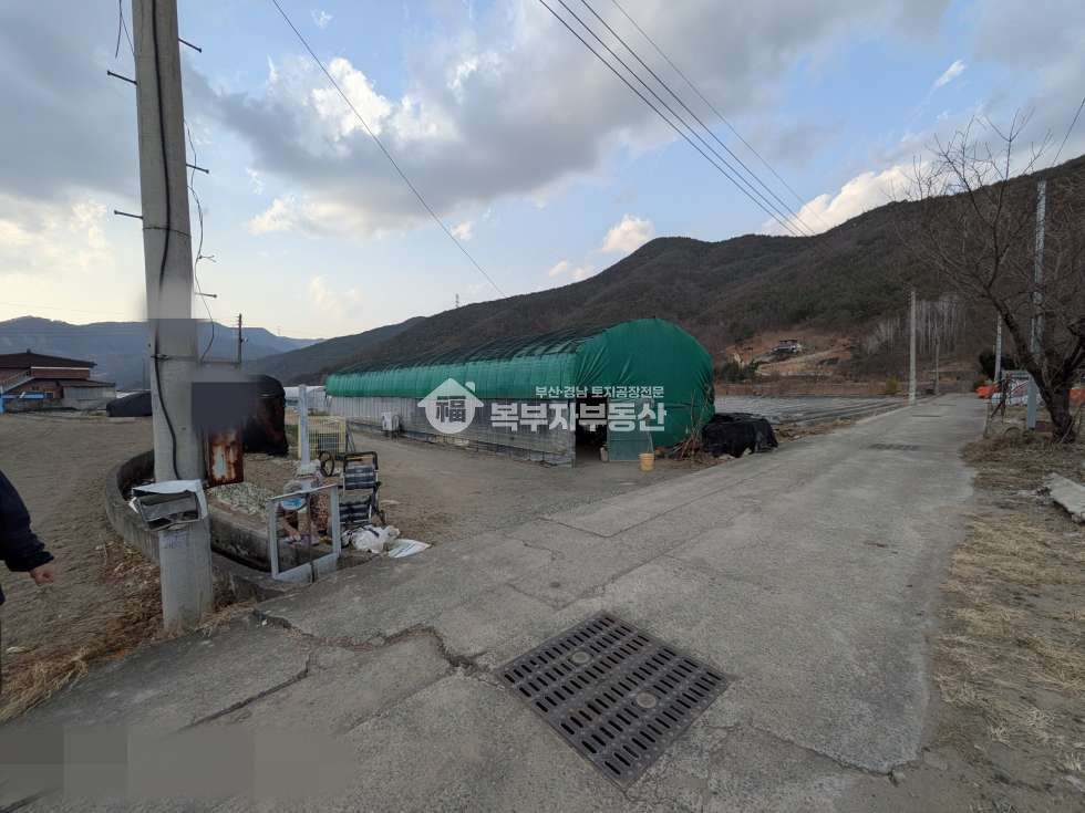경남 밀양시 단장면 태룡리 경남 밀양시 단장면 태룡리 토지매매 당32만 매매 매물번호 11358 사진 6