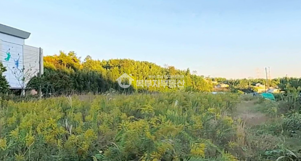 울산 울주군 서생면 명산리 울산시 울주군 서생면 명산리 토지매매 당150만 매매 매물번호 11365 사진 1