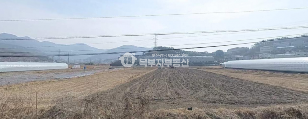 경남 김해시 한림면 용덕리 경남 김해시 한림면 용덕리 토지매매 당31만 매매 매물번호 11367 사진 1