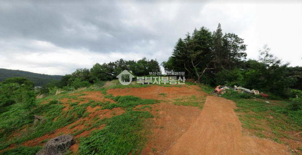울산 울주군 상북면 지내리 울산 울주군 상북면 지내리 토지 초급매 당150만 매매 매물번호 11338 사진 1
