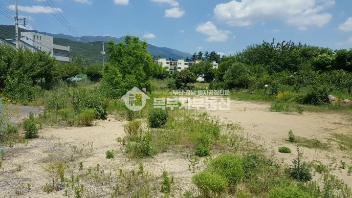 경남 양산시 하북면 백록리 양산 하북면 백록리 토지매매 당225만 매매 매물번호 10156 사진 1