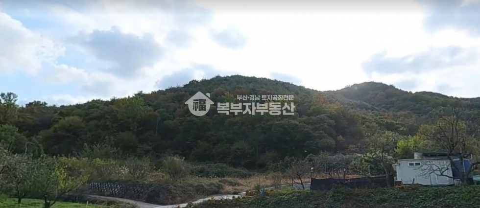 경남 밀양시 청도면 요고리 경남 밀양시 청도면 요고리 토지매매 당4800원 매매 매물번호 11272 사진 1