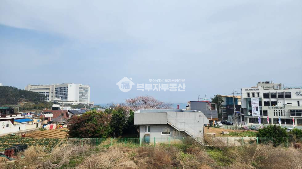 부산 기장군 기장읍 시랑리 부산 기장 오시리아 토지매매 당4000만 매매 매물번호 10036 사진 1