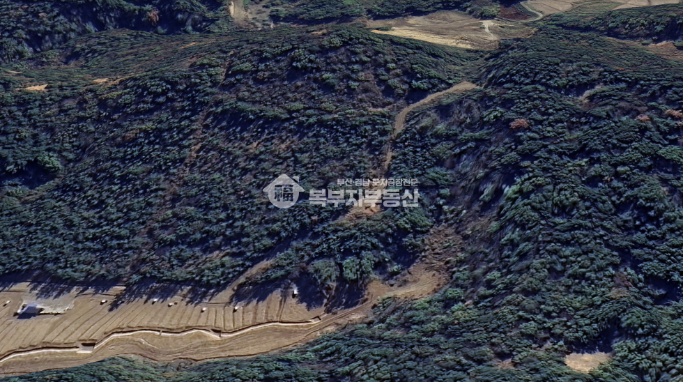 울산 울주군 온양읍 발리 울산 울주군 온양읍 발리 임야매매 당15만 매매 매물번호 10167 사진 2