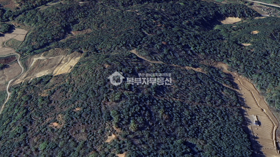 울산 울주군 온양읍 발리 울산 울주군 온양읍 발리 임야매매 당15만 매매 매물번호 10167 사진 3