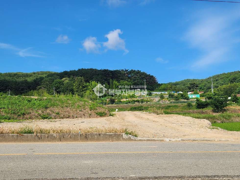 부산 기장군 일광면 용천리 부산 기장군 일광면 용천리 토지 초급매 당70만 매매 매물번호 11473 사진 2