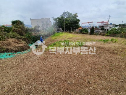 경남 거제시 연초면 한내리 경남 거제시 연초면 한내리 토지매매 당105만 매매 매물번호 10883 사진 2