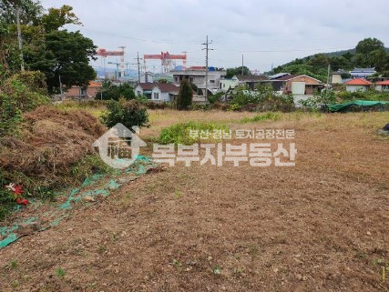 경남 거제시 연초면 한내리 경남 거제시 연초면 한내리 토지매매 당105만 매매 매물번호 10883 사진 3