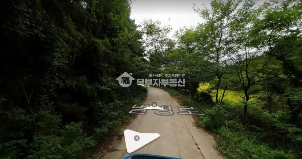강원 고성군 거진읍 화포리 강원도 고성군 거진읍 화포리 임야매매 @15만 매매 매물번호 11108 사진 3