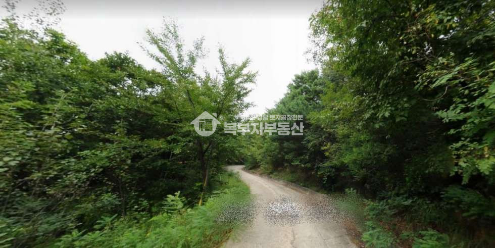 강원 고성군 거진읍 화포리 강원도 고성군 거진읍 화포리 임야매매 당15만 매매 매물번호 11109 사진 2