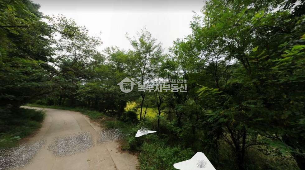 강원 고성군 거진읍 화포리 강원도 고성군 거진읍 화포리 임야매매 당15만 매매 매물번호 11109 사진 6