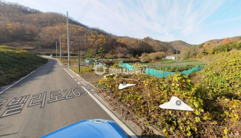 경북 포항남구 구룡포읍 성동리 경북 포항시 남구 구룡포읍 성동리 토지매매 당54만 매매 매물번호 11086 사진 2