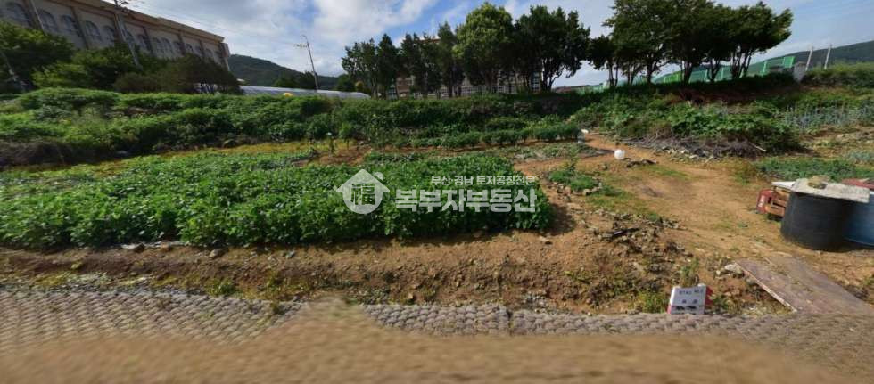 부산 강서구 성북동 부산 강서구 성북동 토지매매 당250만 매매 매물번호 11100 사진 1