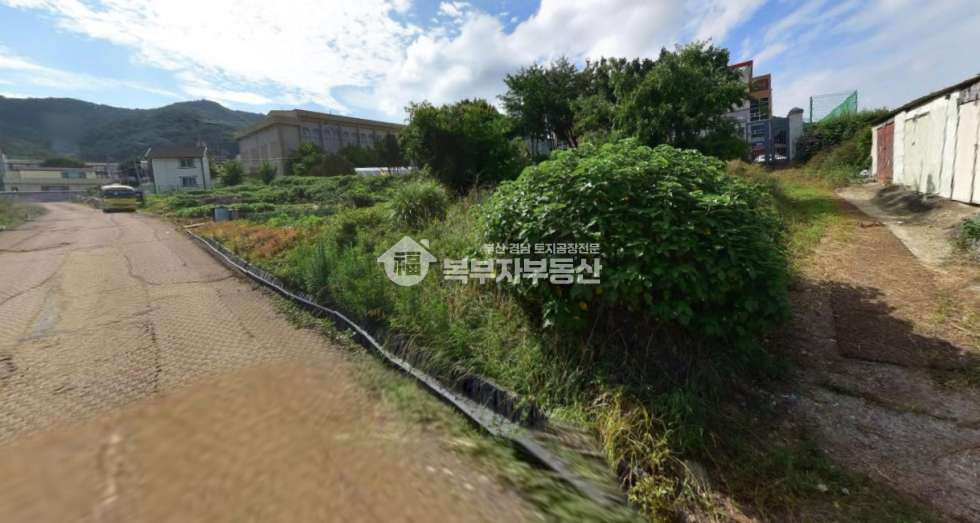 부산 강서구 성북동 부산 강서구 성북동 토지매매 당250만 매매 매물번호 11100 사진 2