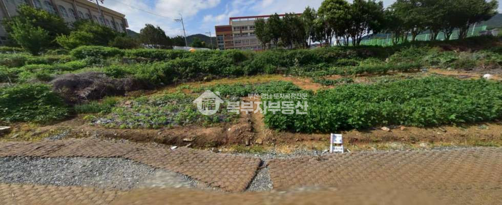 부산 강서구 성북동 부산 강서구 성북동 토지매매 당250만 매매 매물번호 11100 사진 3