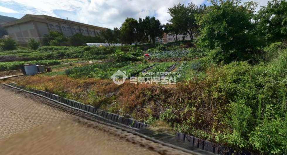 부산 강서구 성북동 부산 강서구 성북동 토지매매 당250만 매매 매물번호 11100 사진 4