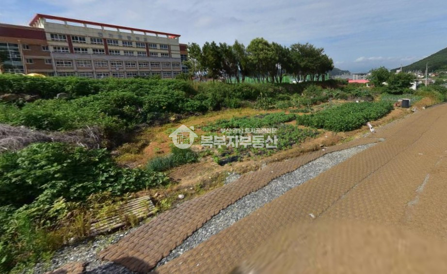 부산 강서구 성북동 부산 강서구 성북동 토지매매 당250만 매매 매물번호 11100 사진 5