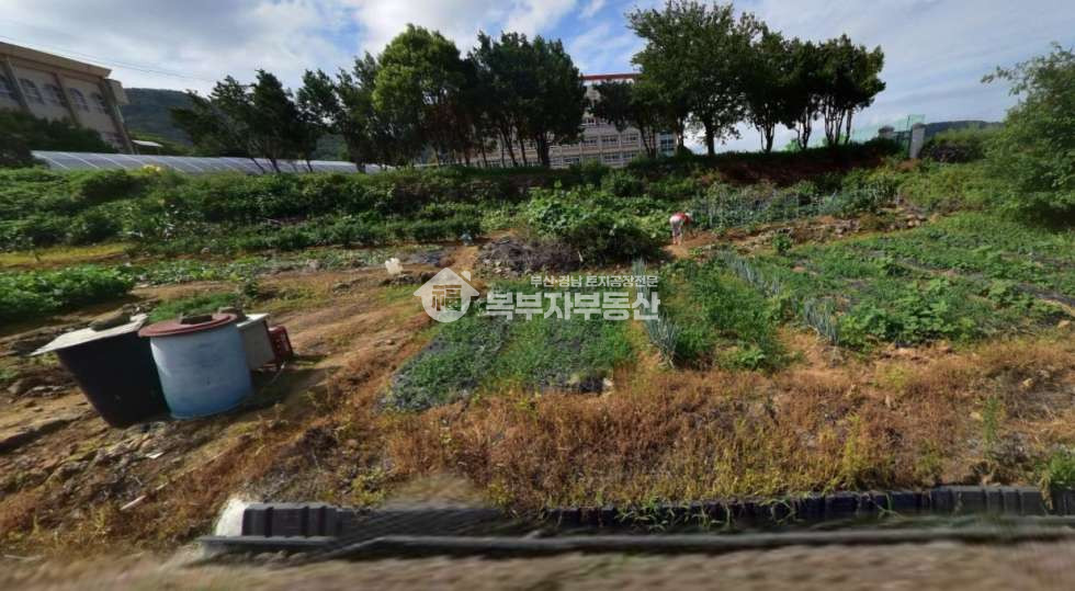 부산 강서구 성북동 부산 강서구 성북동 토지매매 당250만 매매 매물번호 11100 사진 6