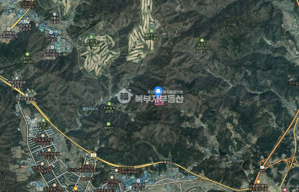 부산 기장군 장안읍 덕선리 부산 기장군 장안읍 덕선리 임야매매 당8200원 매매 매물번호 11125 사진 1