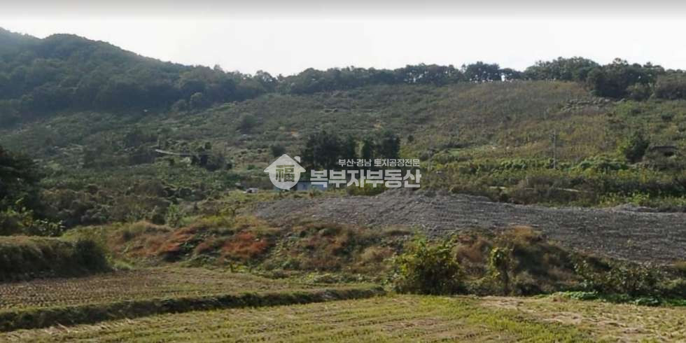 경남 김해시 한림면 병동리 경남 김해시 한림면 병동리 토지매매 당150만 매매 매물번호 11140 사진 4