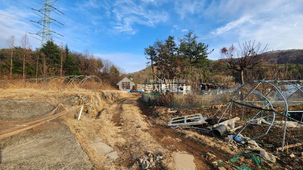경남 양산시 하북면 용연리 경남 양산시 하북면 용연리 토지 초급매 당30만 매매 매물번호 10272 사진 3