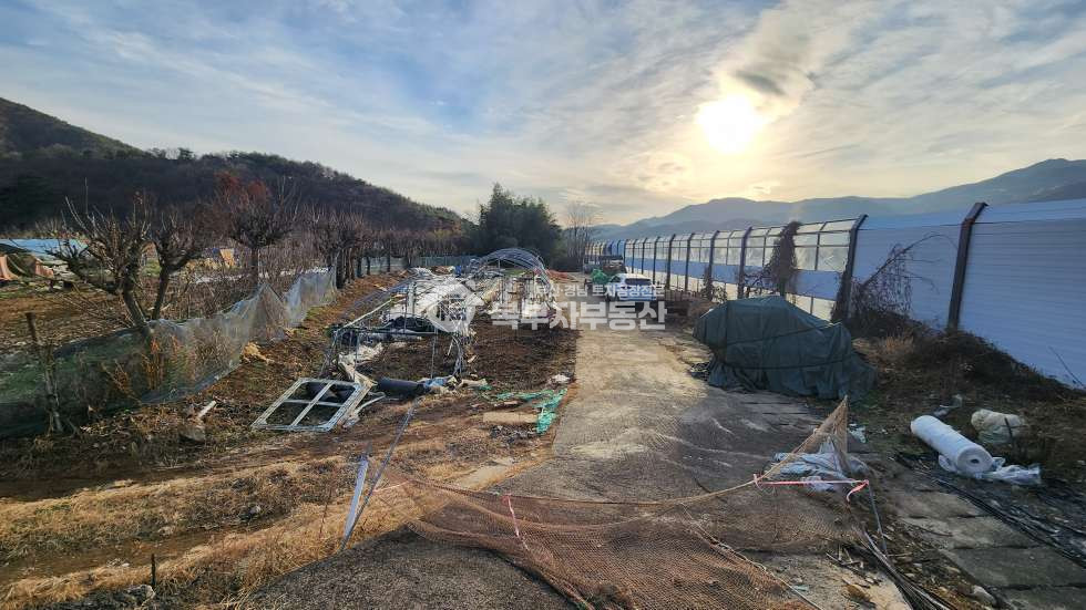 경남 양산시 하북면 용연리 경남 양산시 하북면 용연리 토지 초급매 당30만 매매 매물번호 10272 사진 4