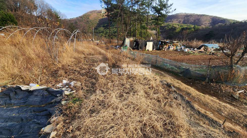 경남 양산시 하북면 용연리 경남 양산시 하북면 용연리 토지 초급매 당30만 매매 매물번호 10272 사진 5