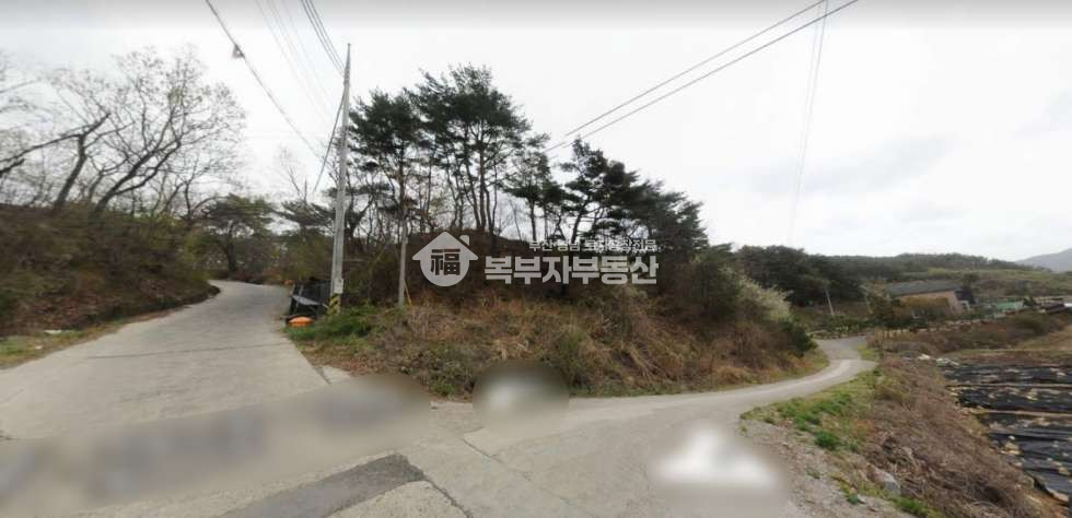 경북 경주시 양남면 상계리 경북 경주시 양남면 상계리 토지매매 당40만 매매 매물번호 11132 사진 1