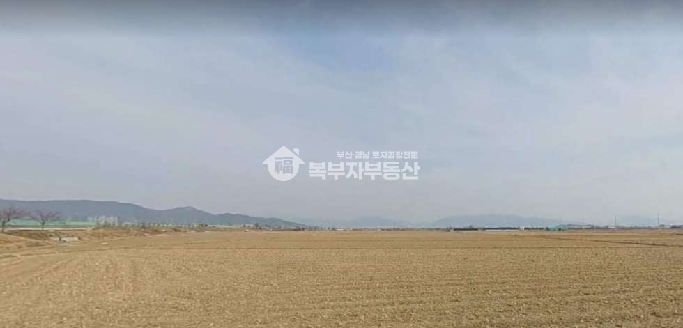 부산 강서구 죽동동 부산 강서구 죽동동 토지매매 당55만 매매 매물번호 11057 사진 2
