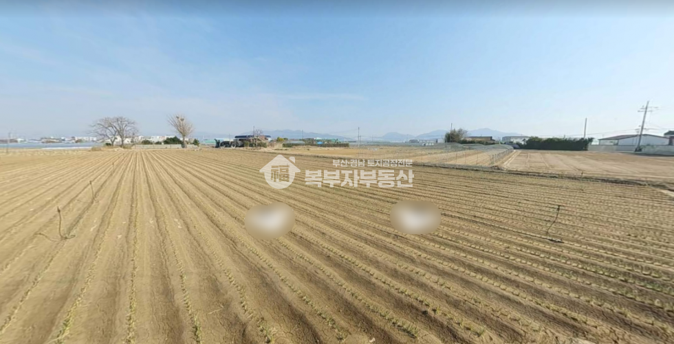부산 강서구 강동동 부산 강서구 강동동 토지매매 당70만 매매 매물번호 11155 사진 1