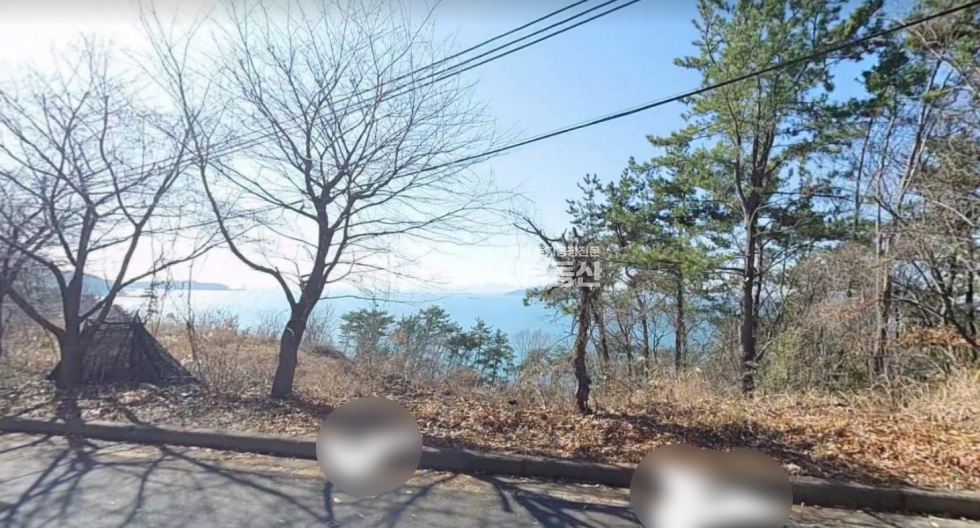 부산 강서구 천성동 부산 강서구 천성동 임야매매 당150만 매매 매물번호 10186 사진 1