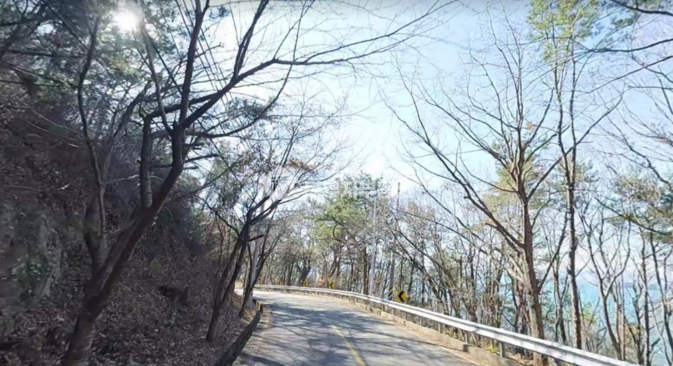 부산 강서구 천성동 부산 강서구 천성동 임야매매 당150만 매매 매물번호 10186 사진 2