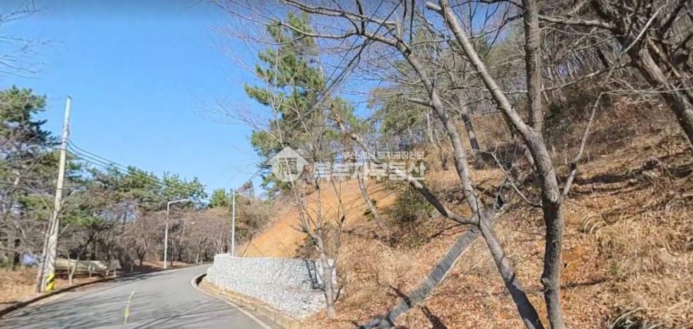 부산 강서구 천성동 부산 강서구 천성동 임야매매 당150만 매매 매물번호 10186 사진 3