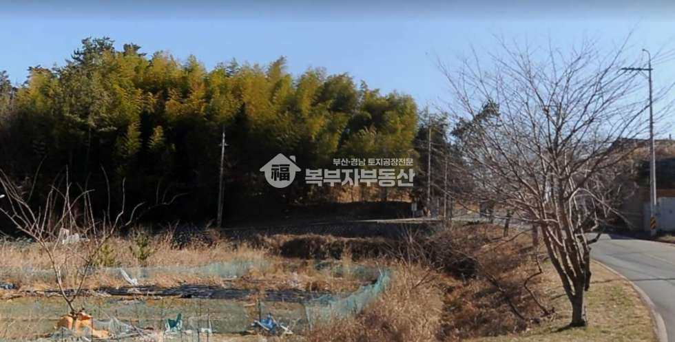 경남 거제시 장목면 관포리 경남 거제시 장목면 관포리 토지매매 당85만 매매 매물번호 11122 사진 5