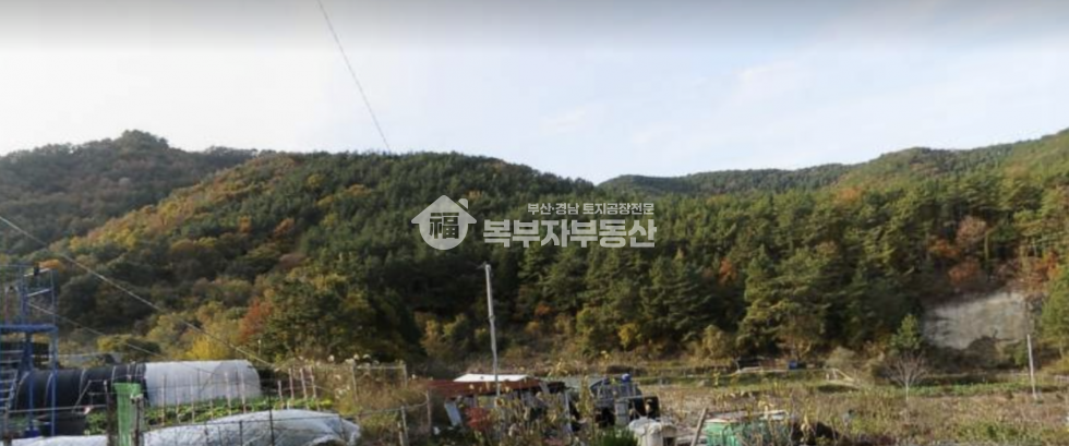 경남 통영시 광도면 죽림리 경남 통영시 광도면 죽림리 토지매매 당53만 매매 매물번호 11174 사진 1