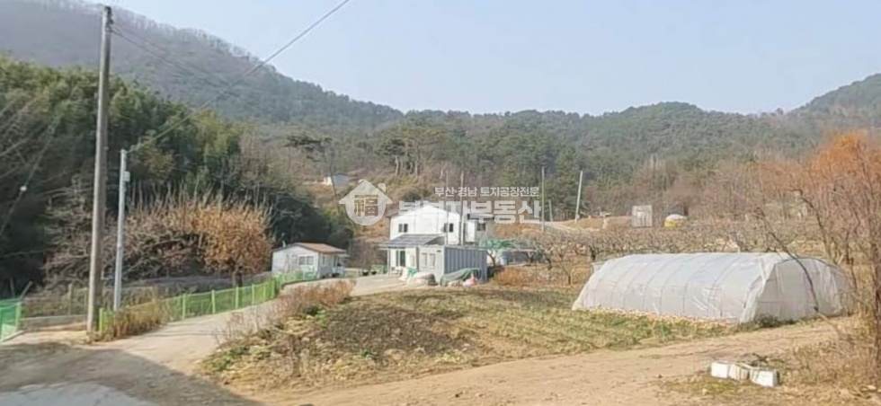 경남 김해시 진영읍 의전리 경남 김해시 진영읍 의전리 토지매매 당60만 매매 매물번호 10697 사진 1