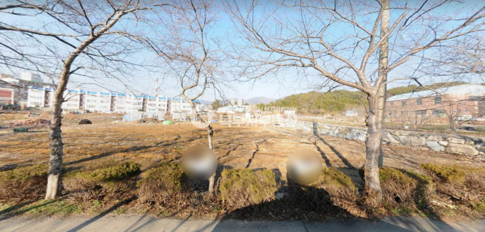 경남 거제시 거제면 동상리 경남 거제시 거제면 동상리 토지매매 당130만 매매 매물번호 10895 사진 1