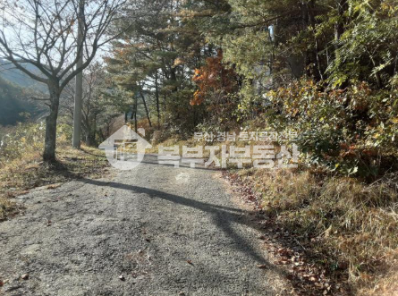 울산 울주군 범서읍 두산리 울산 울주군 범서읍 두산리 토지매매 당40만 매매 매물번호 10100 사진 3