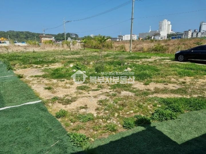 울산 울주군 서생면 진하리 울산시 울주군 서생면 진하리 토지매매 당122만 매매 매물번호 10061 사진 5