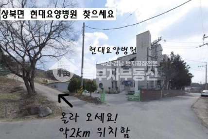 경남 양산시 상북면 대석리 경남 양산시 상북면 대석리 임야매매 당8000원 매매 매물번호 10839 사진 4