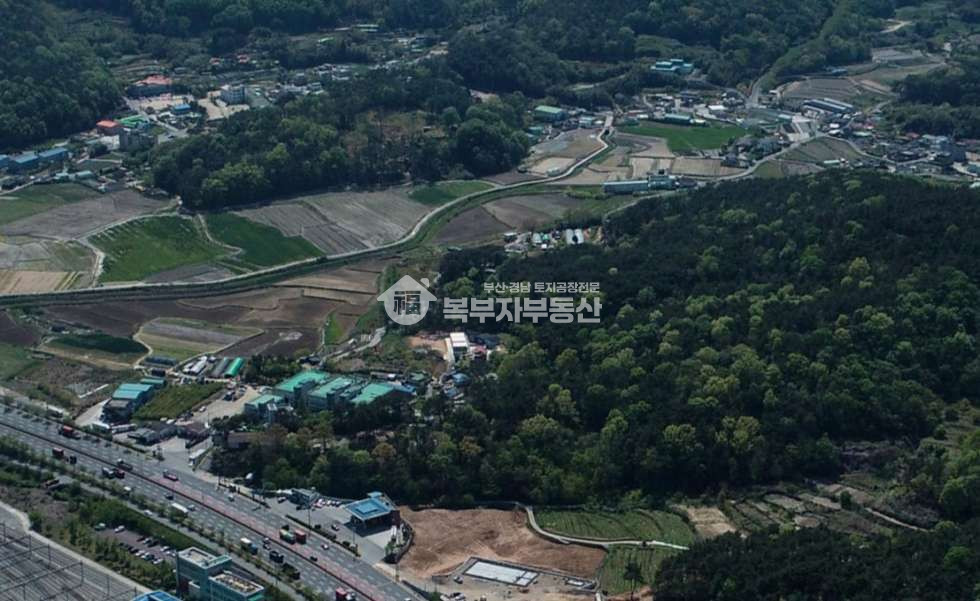 부산 강서구 송정동 부산 강서구 송정동 토지매매 당200만 매매 매물번호 10251 사진 6