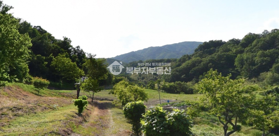 경북 경주시 문무대왕면 장항리 경북 경주시 문무대왕면 장항리 토지매매 당15만 매매 매물번호 11244 사진 1
